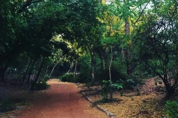 Sanjay Van