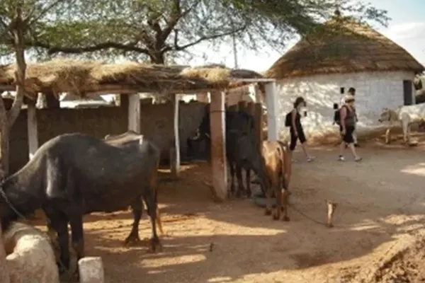 Best Places To Visit In Jodhpur