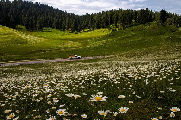 jammu kashmir