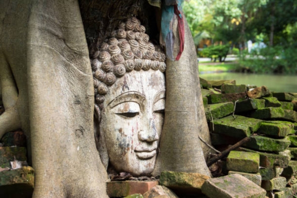 Bodhgaya Bodhi Tree