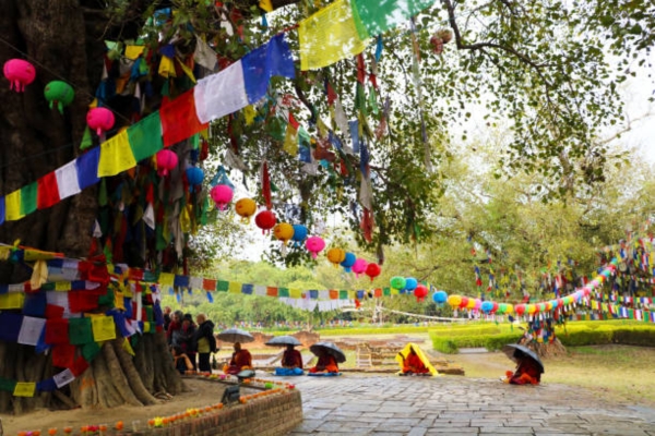 Bodhi Tree, Lumbini