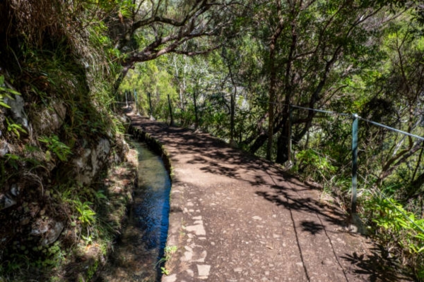 Friars Creek Trail