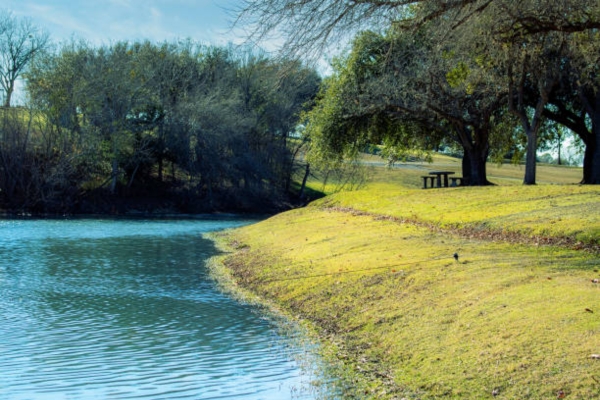 Miller Springs Park