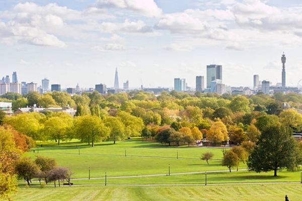 Primrose Hill