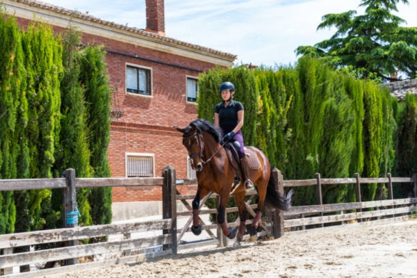 Adagio Riding Stables 