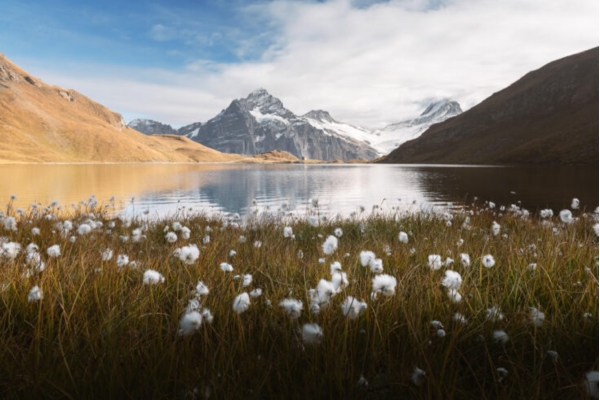 Bachalpsee Lake