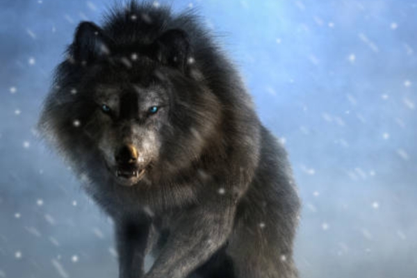 Dire Wolf