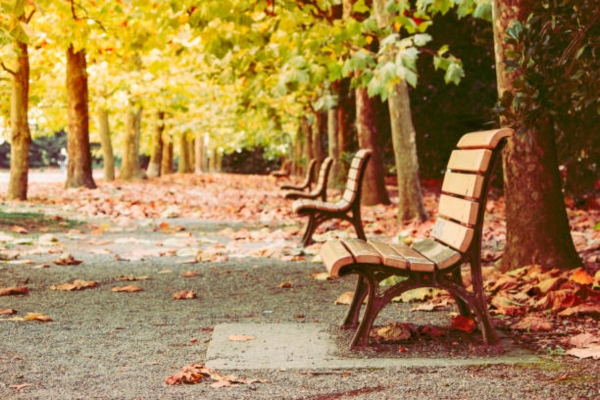 Gyoen Park