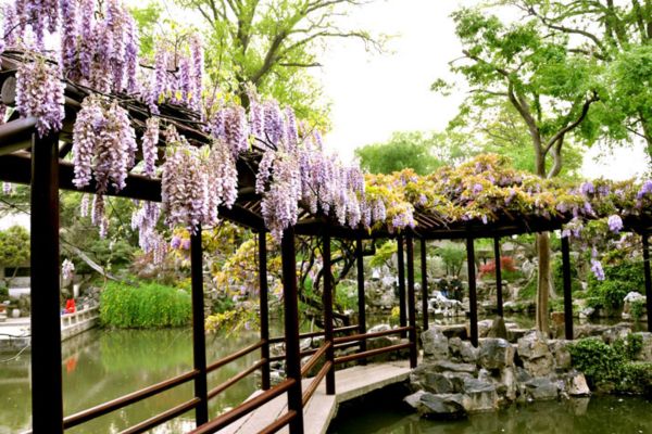 Lingering Garden