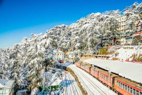 Shimla