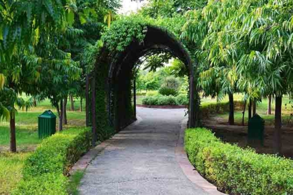 Tau Devi Lal Bio Diversity Park, Gurgaon