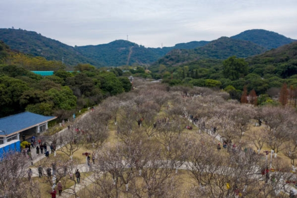 Bukhansanseong Course