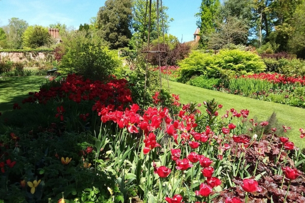 Pashley Manor Gardens