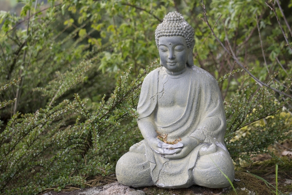 Dhyana Buddha Statue