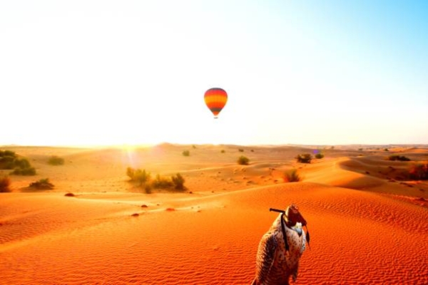 Balloon