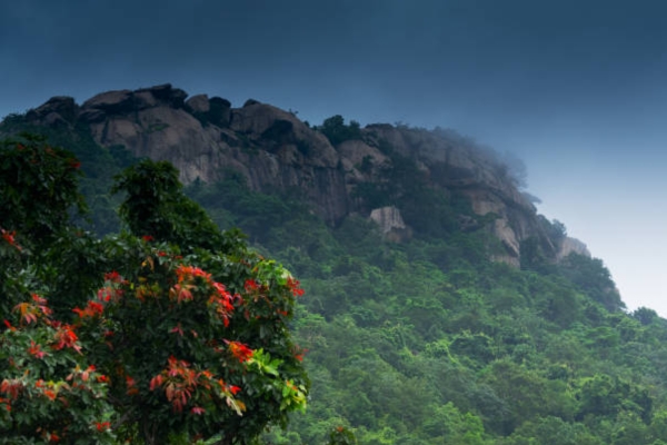 Nilgiri Biosphere Nature Park