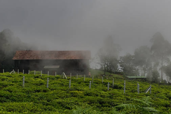 Glyngarth Resort Ooty