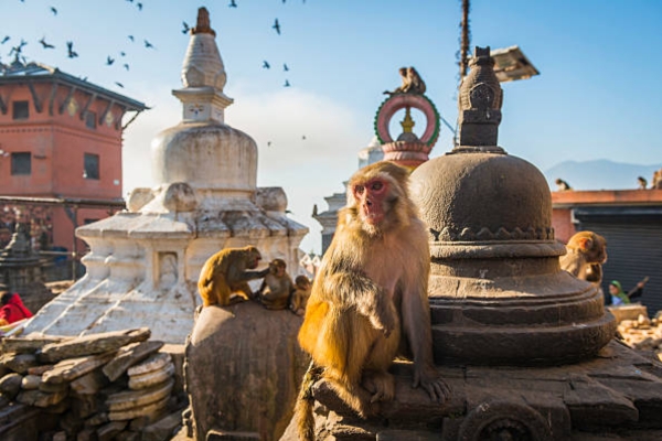 Hanuman Dhara Temple, Chitrakoot