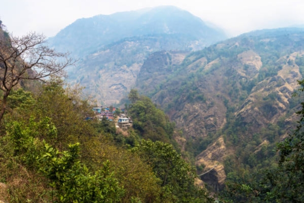 Hills of Nahargarh