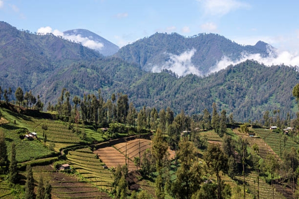 Ketti Valley Coonoor