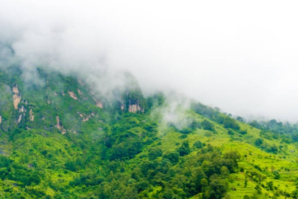 Nilgiri Hills