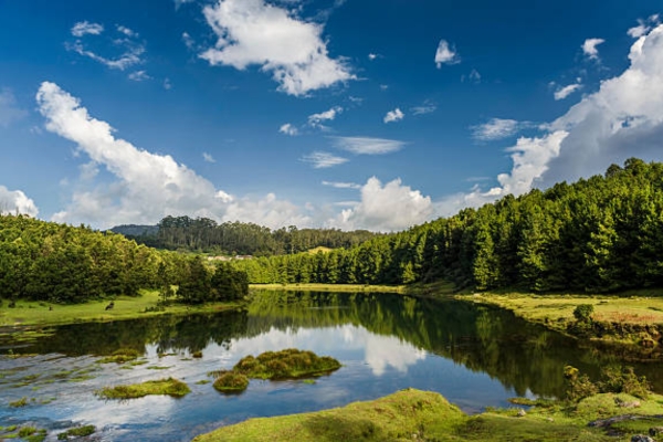 Ooty Lake