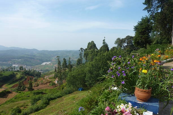 Ooty Resorts