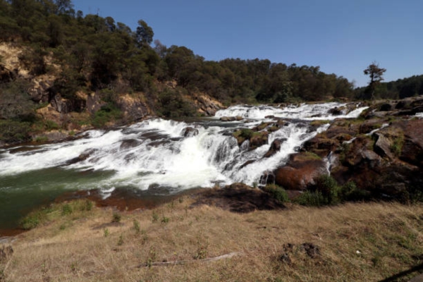 Ooty loss falls