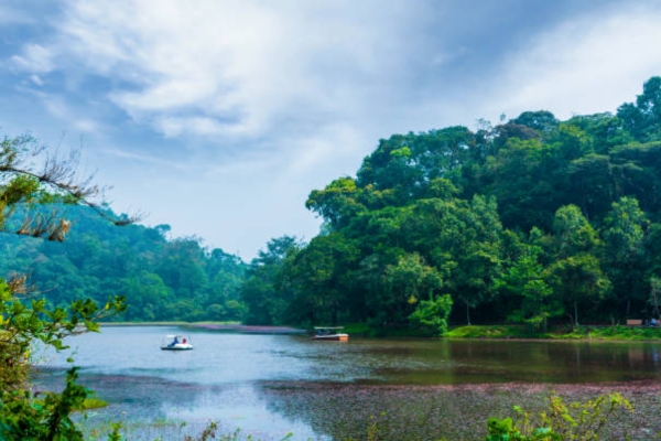 Pookode Lake