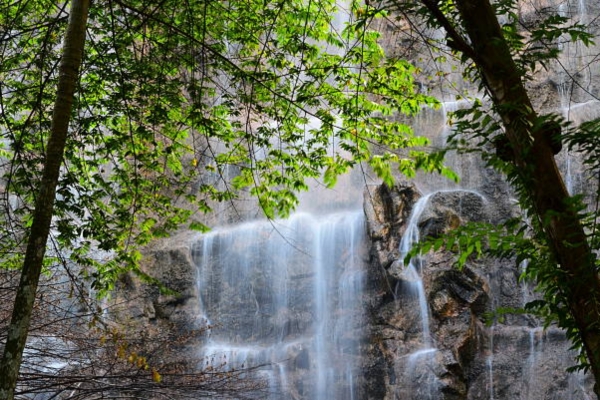 Yelagiri Nature Park